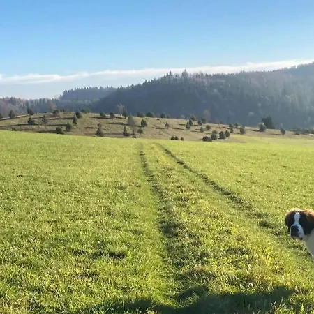 Lejlighed Dorfglueck Oberdigisheim Messstetten