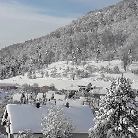 Dorfglueck Oberdigisheim Lejlighed