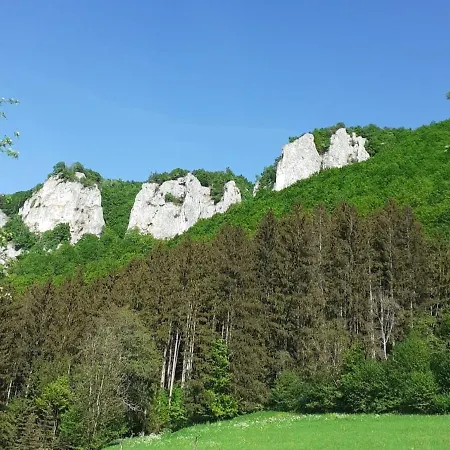 Dorfglueck Oberdigisheim Lejlighed